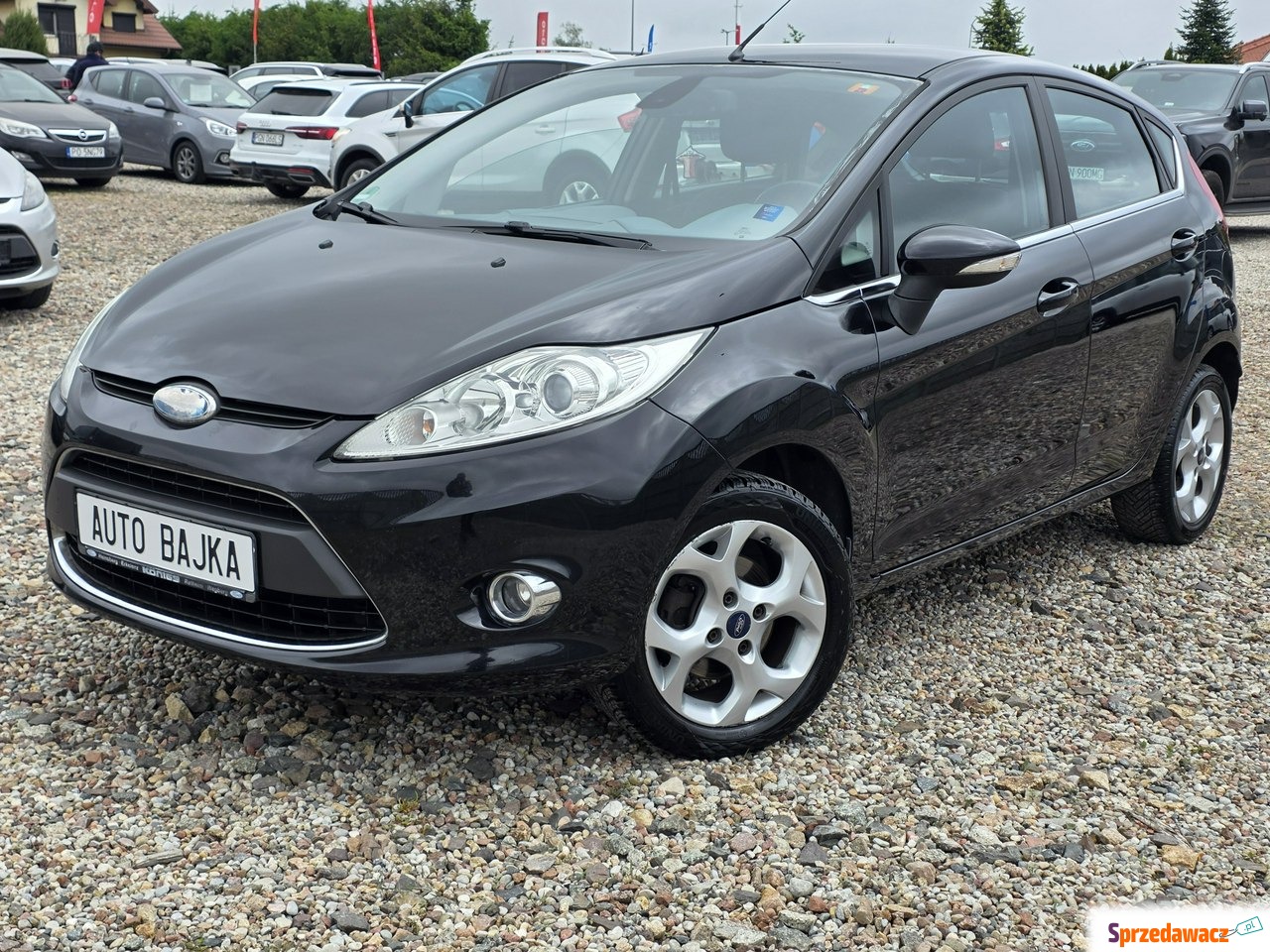 Ford Fiesta 2010