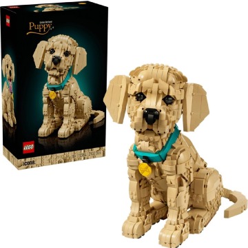 Klocki konstrukcyjne LEGO Icons 11384 Szczeniak golden retriever