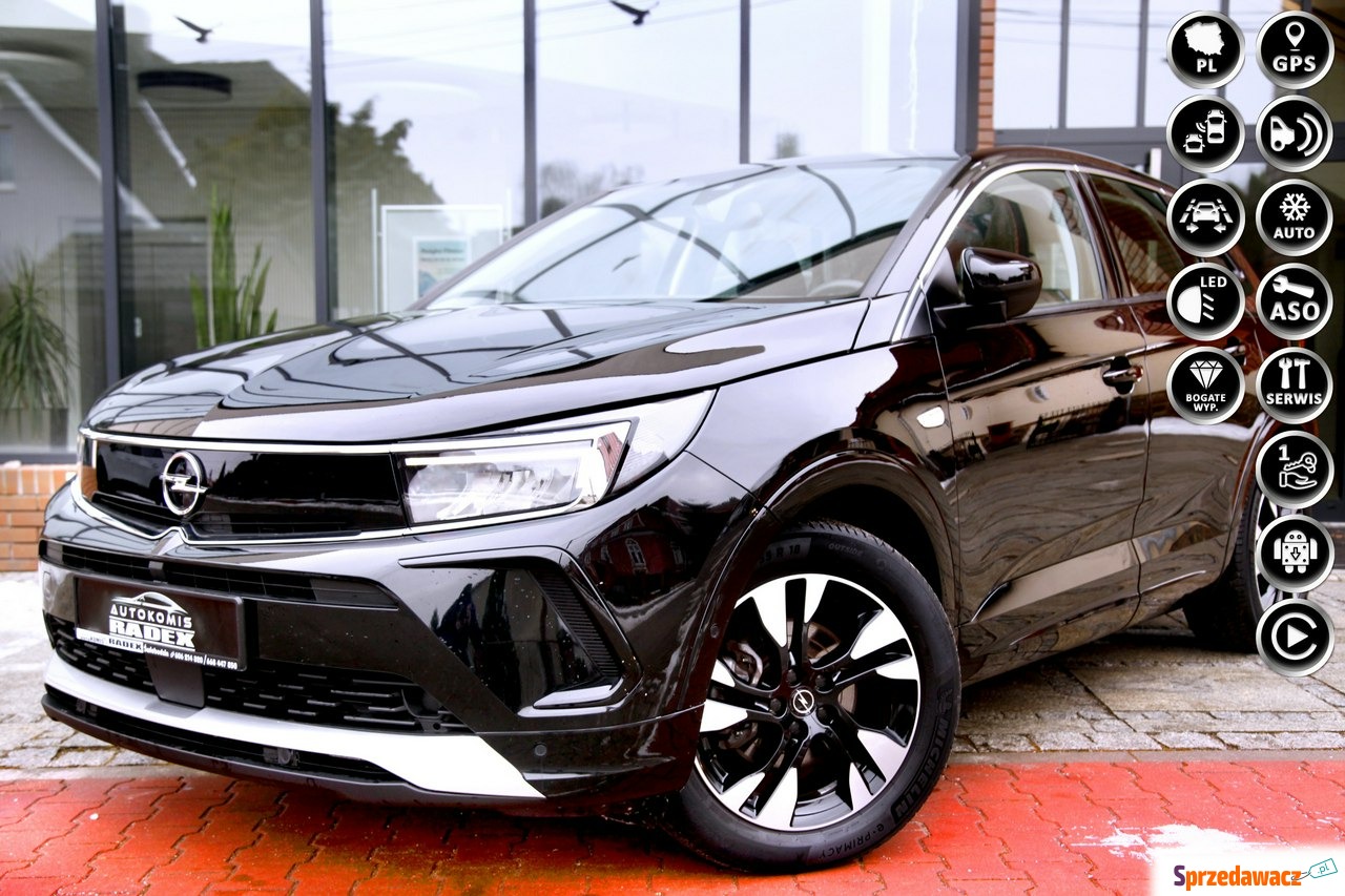 Opel Grandland - Salon PL|1 Rę...