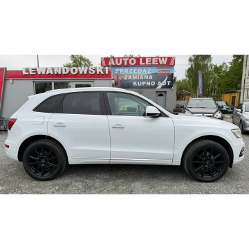 Audi Q5  SUV 2016,  2.0 diesel, automat - Na sprzedaż za 69 950 zł - Elbląg - zdjęcie 5