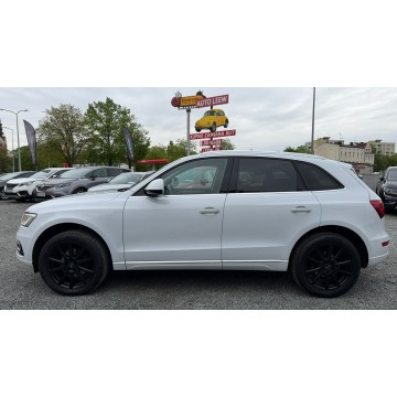 Audi Q5  SUV 2016,  2.0 diesel, automat - Na sprzedaż za 69 950 zł - Elbląg - zdjęcie 11