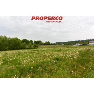 Działka budowlana Daleszyce sprzedam, pow. 1600 m2  (16a), uzbrojona - zdjęcie 4