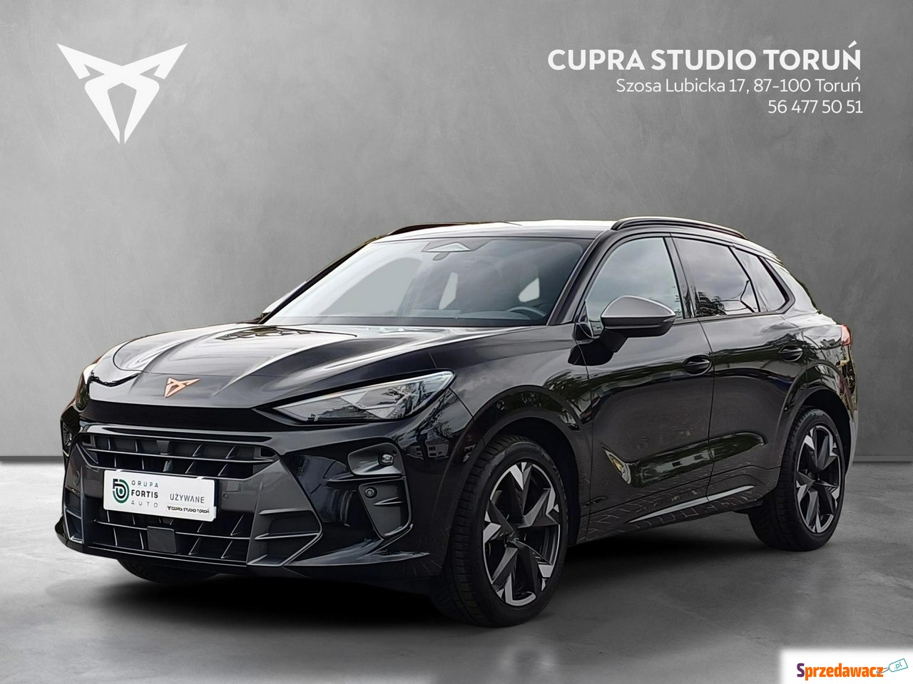Cupra Terramar 2025