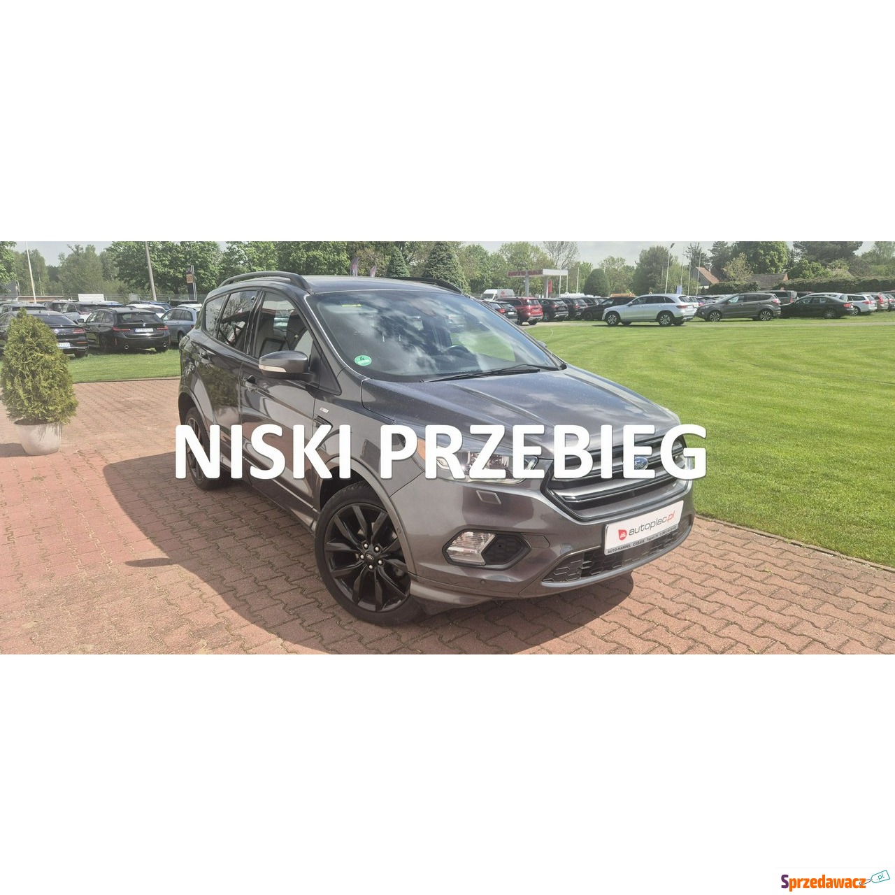 Ford Kuga 2015