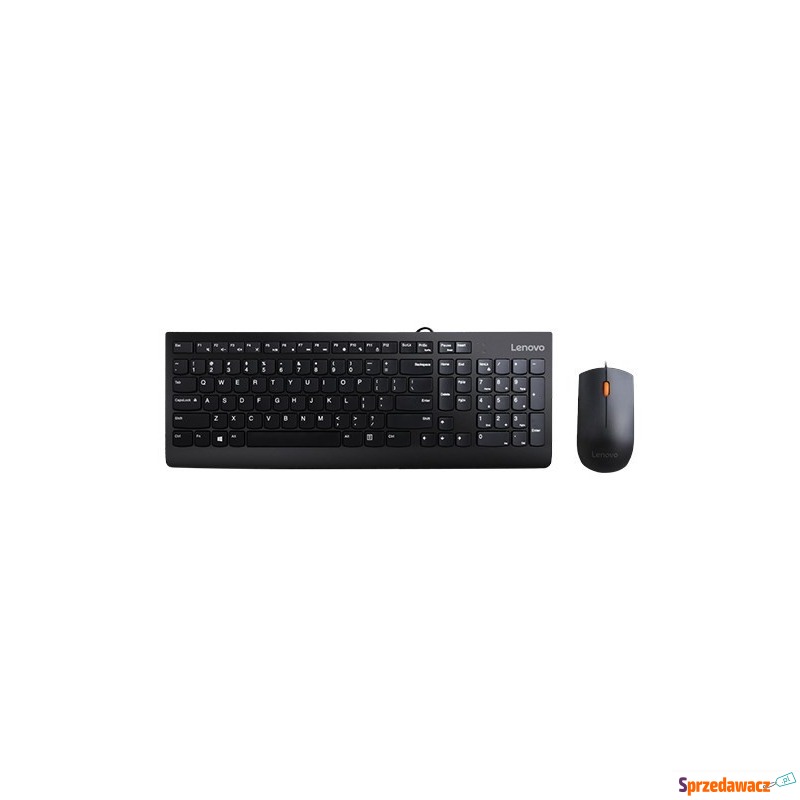 Lenovo 300 USB Combo Keyboard & Mouse - US English... - Klawiatury - Brzeg