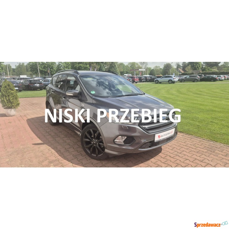 Ford Kuga  SUV 2015,  1.5 benzyna - Na sprzedaż za 63 800 zł - Paproć