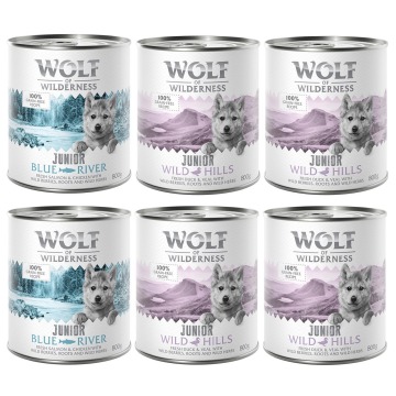 Pakiet mieszany Wolf of Wilderness JUNIOR  - 6 x 800 g: 4x kaczka i cielęcina, 2x kurczak i łosoś