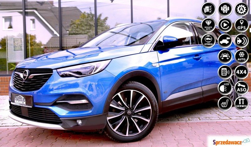 Opel Grandland X  SUV 2020,  1.6 hybryda, automat - Na sprzedaż za 67 900 zł - Świebodzin