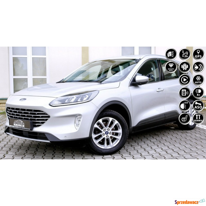 Ford Kuga  SUV 2020,  2.0 diesel - Na sprzedaż za 71 900 zł - Świebodzin