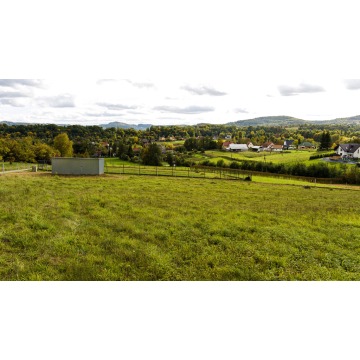 Działka Tworkowa sprzedam, pow. 6264 m2  (0.63ha) - zdjęcie 2