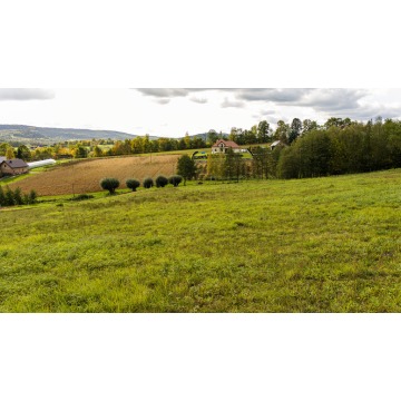 Działka Tworkowa sprzedam, pow. 6264 m2  (0.63ha) - zdjęcie 3