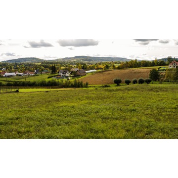 Działka Tworkowa sprzedam, pow. 6264 m2  (0.63ha) - zdjęcie 4