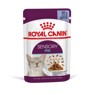 Royal Canin Sensory Feel w galarecie - 48 x 85 g