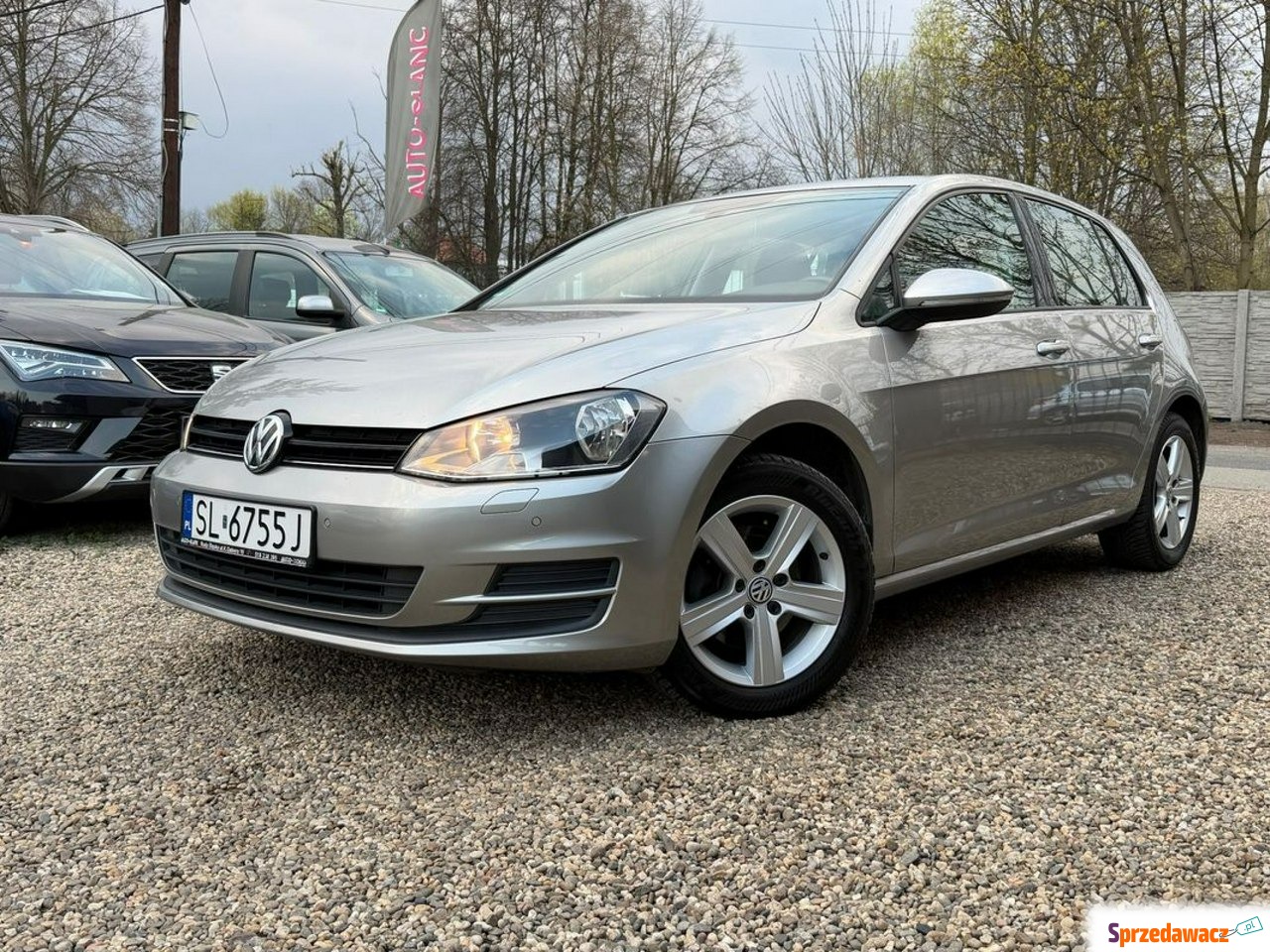 Volkswagen Golf 2013