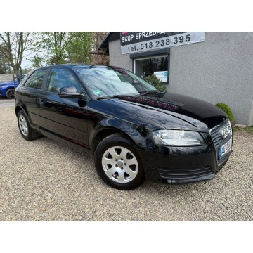 Audi A3  Liftback 2010,  2.0 diesel - Na sprzedaż za 19 900 zł - Ruda Śląska - zdjęcie 2