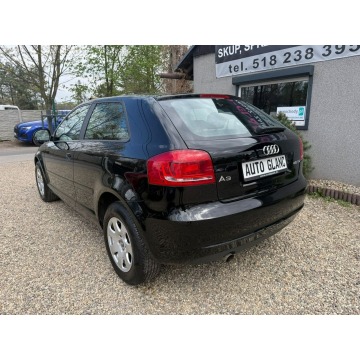 Audi A3  Liftback 2010,  2.0 diesel - Na sprzedaż za 19 900 zł - Ruda Śląska - zdjęcie 5