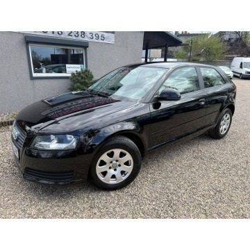 Audi A3  Liftback 2010,  2.0 diesel - Na sprzedaż za 19 900 zł - Ruda Śląska - zdjęcie 7