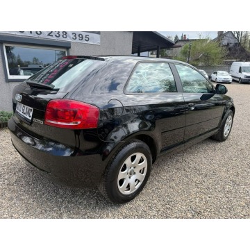 Audi A3  Liftback 2010,  2.0 diesel - Na sprzedaż za 19 900 zł - Ruda Śląska - zdjęcie 4