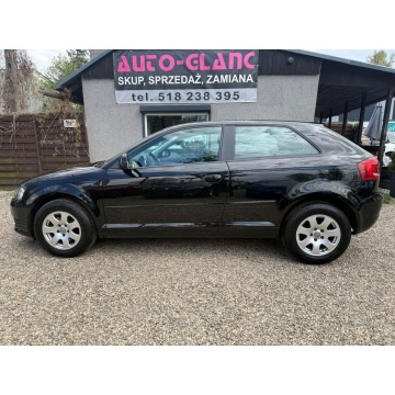 Audi A3  Liftback 2010,  2.0 diesel - Na sprzedaż za 19 900 zł - Ruda Śląska - zdjęcie 6