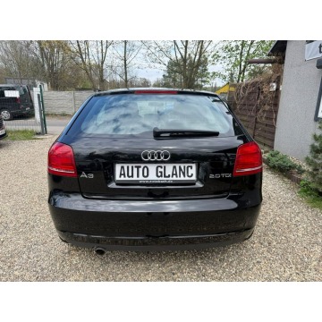 Audi A3  Liftback 2010,  2.0 diesel - Na sprzedaż za 19 900 zł - Ruda Śląska - zdjęcie 9
