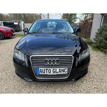 Audi A3  Liftback 2010,  2.0 diesel - Na sprzedaż za 19 900 zł - Ruda Śląska - zdjęcie 8