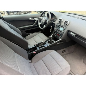 Audi A3  Liftback 2010,  2.0 diesel - Na sprzedaż za 19 900 zł - Ruda Śląska - zdjęcie 12