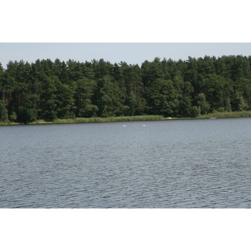 Działka rekreacyjna Ostroróg sprzedam, pow. 1000 m2  (10a), uzbrojona - zdjęcie 11
