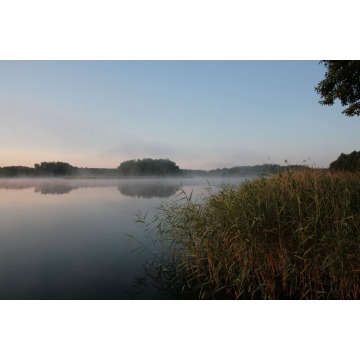 Działka rekreacyjna Ostroróg sprzedam, pow. 1000 m2  (10a), uzbrojona - zdjęcie 12