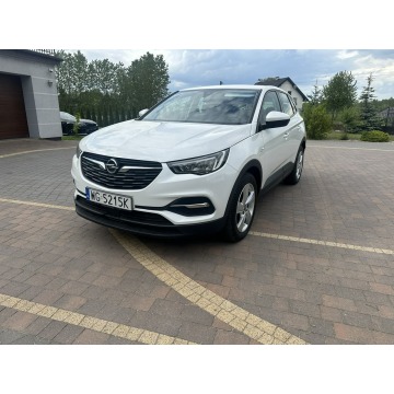 Opel Grandland X  SUV 2021,  1.2 benzyna, automat - Na sprzedaż za 59 800 zł - Lipówki - zdjęcie 2