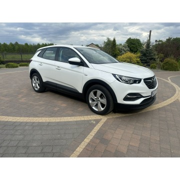 Opel Grandland X  SUV 2021,  1.2 benzyna, automat - Na sprzedaż za 59 800 zł - Lipówki - zdjęcie 5