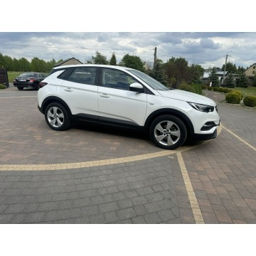 Opel Grandland X  SUV 2021,  1.2 benzyna, automat - Na sprzedaż za 59 800 zł - Lipówki - zdjęcie 7