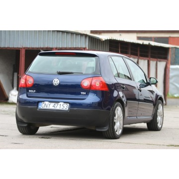 Volkswagen Golf  Hatchback 2005,  1.9 diesel - Na sprzedaż za 8 655,00 zł - Nysa - zdjęcie 8