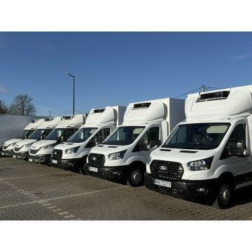 Iveco Daily 35C16 V - Ford Transit Chłodnia-Mroźnia Na Bliźniaku Salon PL na Gwarancji