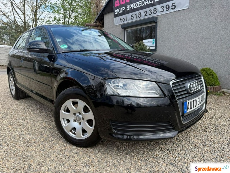 Audi A3  Liftback 2010,  2.0 diesel - Na sprzedaż za 19 900 zł - Ruda Śląska