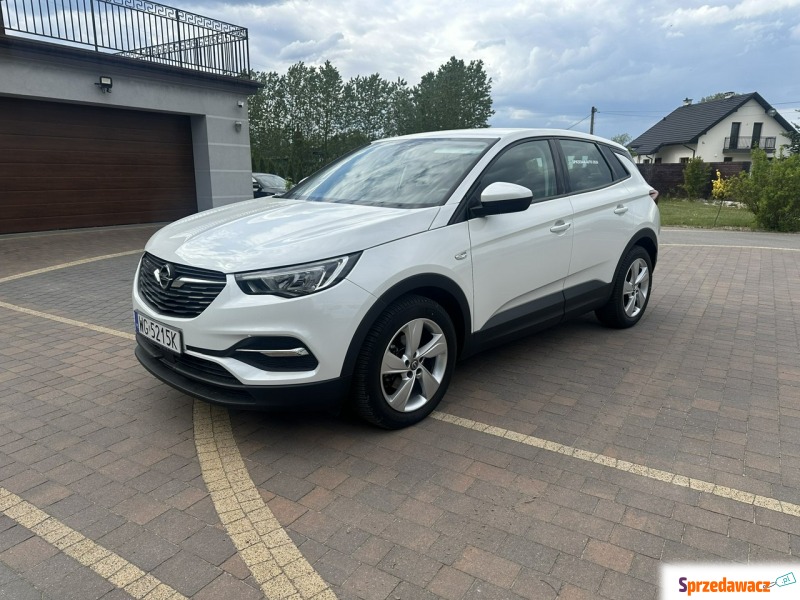 Opel Grandland X  SUV 2021,  1.2 benzyna, automat - Na sprzedaż za 59 800 zł - Lipówki