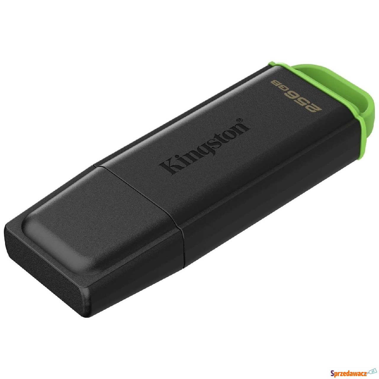 Kingston 256GB USB 3.2 Gen 1 D...