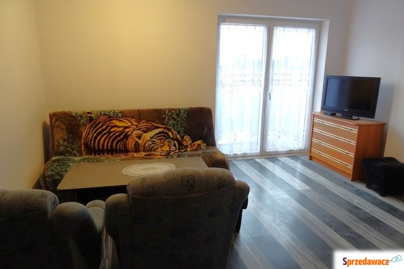 Mieszkanie jednopokojowe Grudziądz,   24 m2 - Do wynajęcia