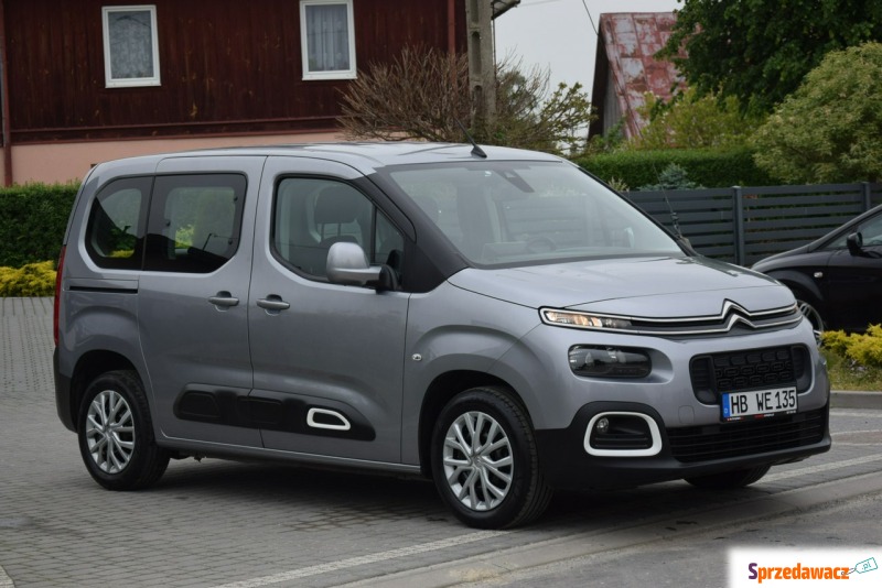 Citroen Berlingo  Minivan/Van 2019,  1.5 diesel - Na sprzedaż za 44 900 zł - Majdan Sieniawski
