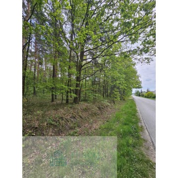 Działka leśna Malutkie sprzedam, pow. 6800 m2  (0.68ha) - zdjęcie 2
