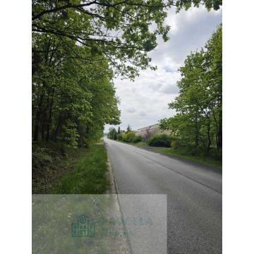 Działka leśna Malutkie sprzedam, pow. 6800 m2  (0.68ha) - zdjęcie 3