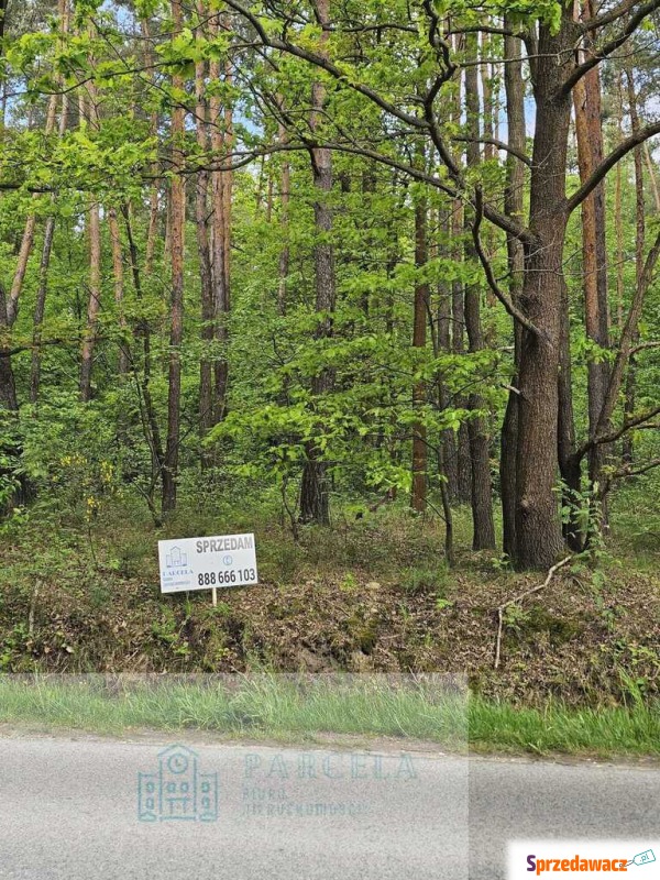 Działka leśna Malutkie sprzedam, pow. 6800 m2  (0.68ha)