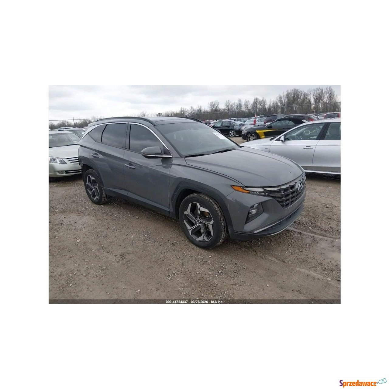Hyundai Tucson 2024