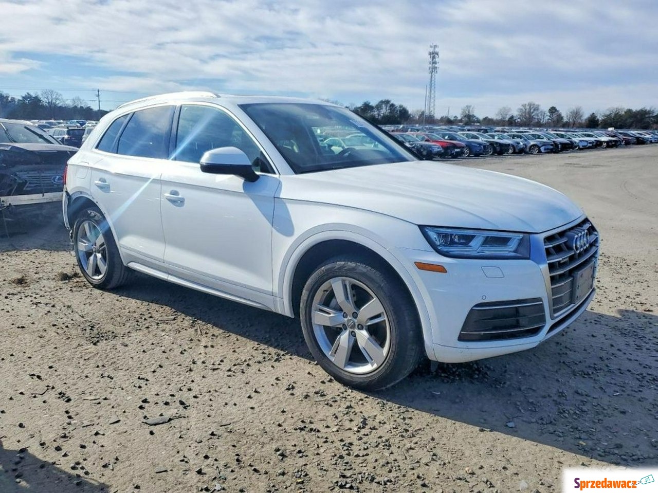 Audi Q5 2018