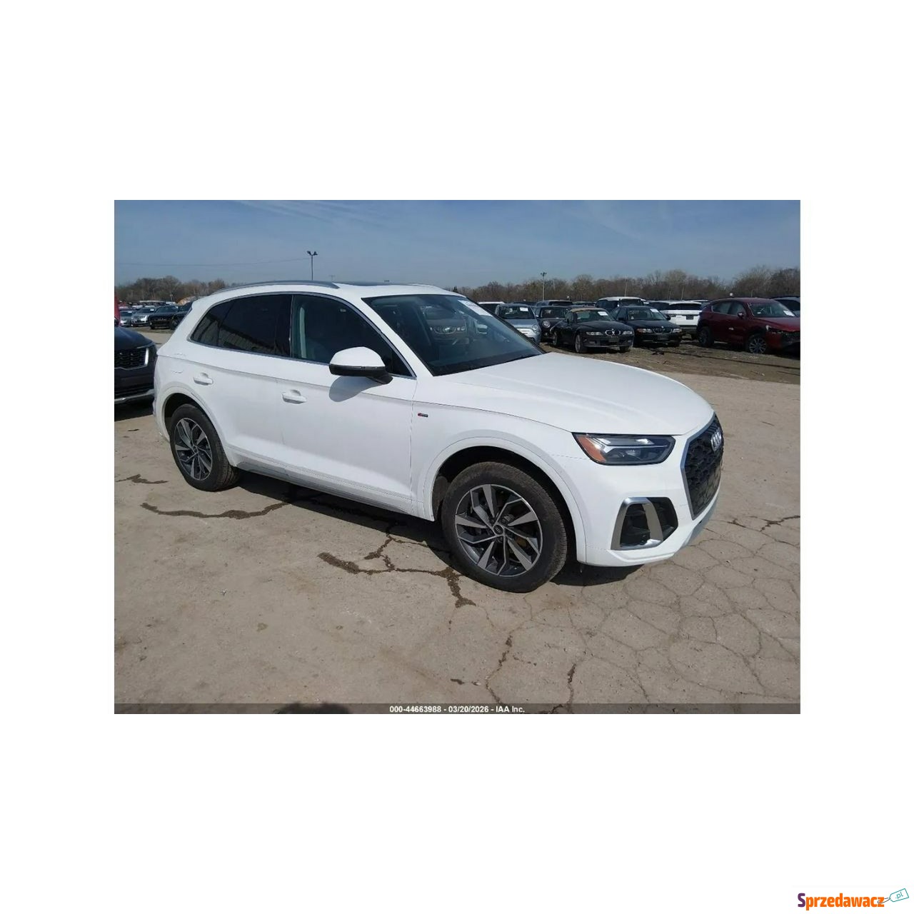 Audi Q5 2023