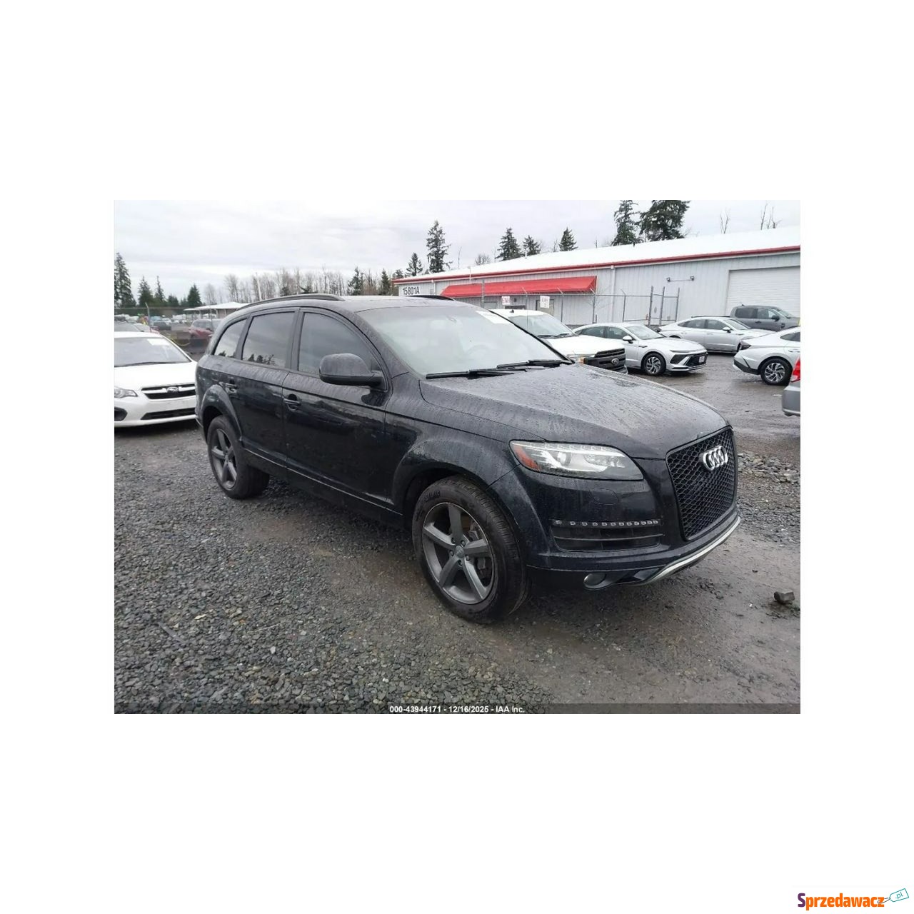 Audi Q7 2015