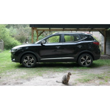 MG ZS  SUV 2023,  1.5 benzyna - Na sprzedaż za 65 000 zł - Łódź - zdjęcie 5