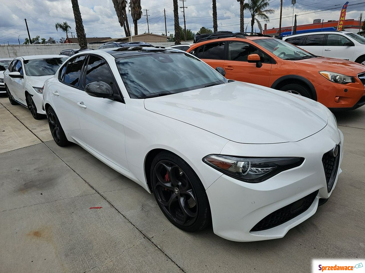 Alfa Romeo Giulia 2019