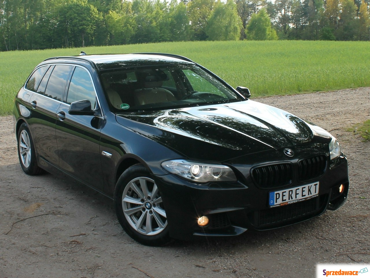 BMW Seria 5 2011