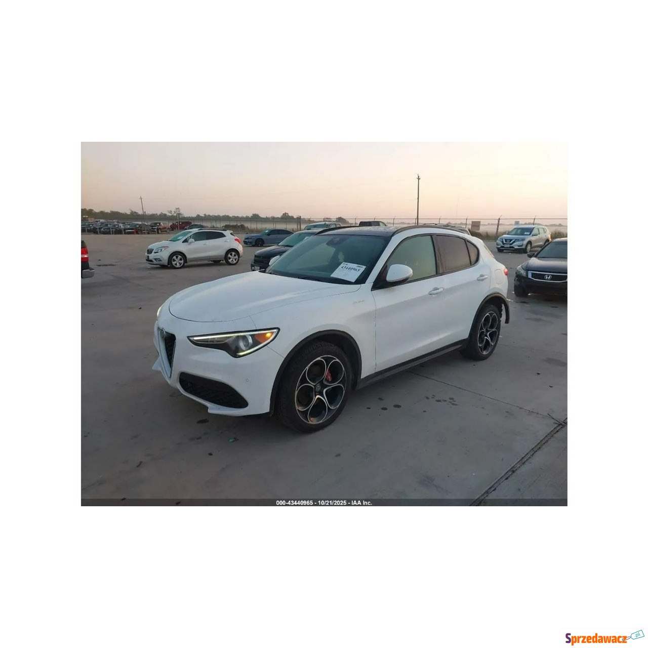 Alfa Romeo Stelvio 2019