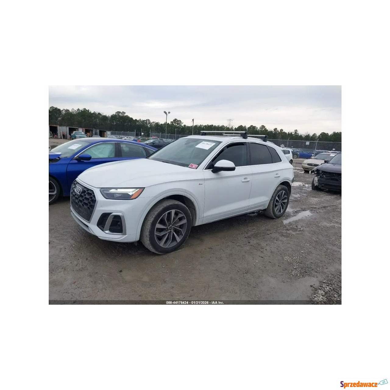 Audi Q5 2023
